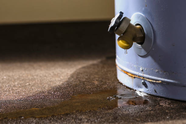 Best Basement water damage restoration  in Fernley, NV