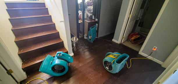 Best 24-hour water damage restoration  in Fernley, NV