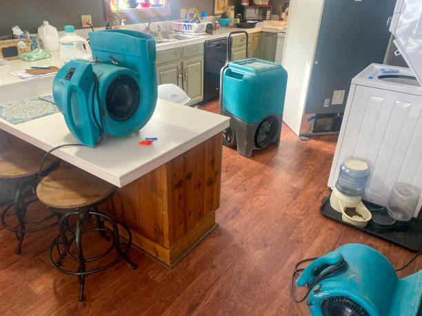 Best Local water damage restoration  in Fernley, NV