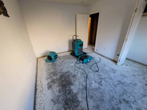 Best Ceiling water damage repair  in Fernley, NV