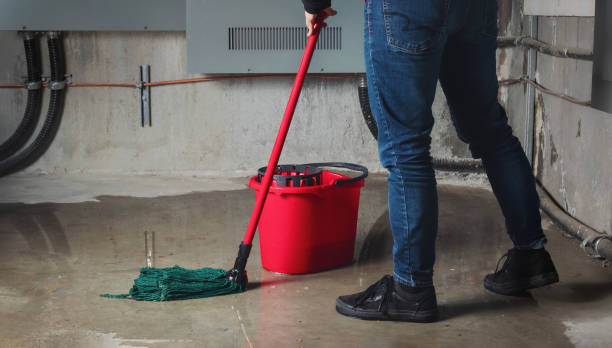 Best Mold removal after water damage  in Fernley, NV