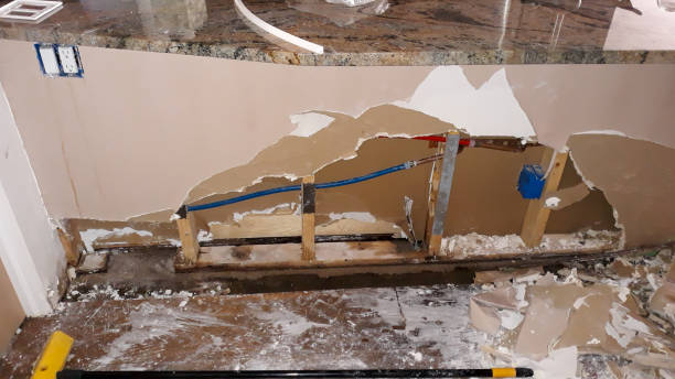 Best 24-hour water damage restoration  in Fernley, NV
