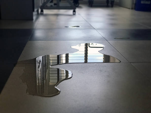 Best Water damage restoration experts  in Fernley, NV