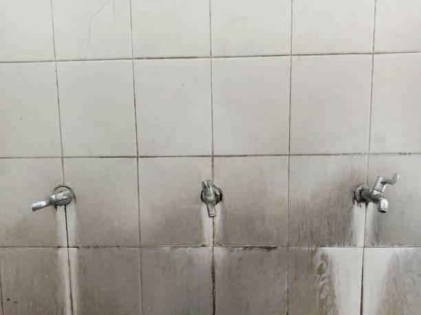 Best Water damage restoration company  in Fernley, NV