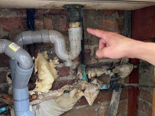 Best Water damage restoration near me  in Fernley, NV