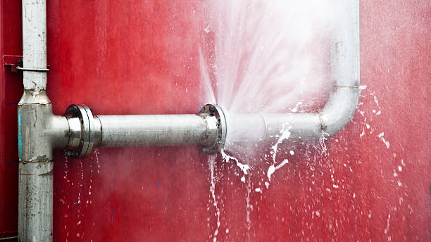Best Flood restoration services  in Fernley, NV